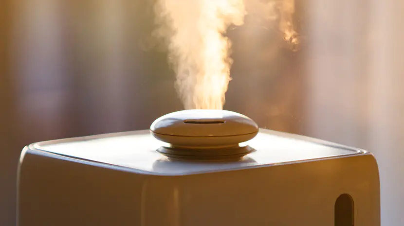 Home Ventilation & Air Purification